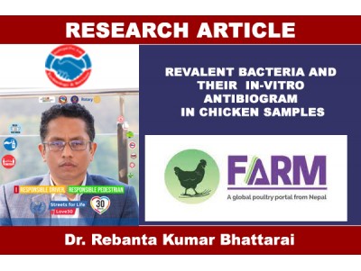 REVALENT BACTERIA AND THEIR IN-VITRO ANTIBIOGRAM IN CHICKEN SAMPLES