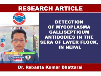 DETECTION OF MYCOPLASMA GALLISEPTICUM ANTIBODIES IN THE SERA OF LAYER FLOCK, NEPAL