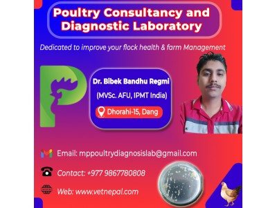 पोल्ट्री कन्सल्टेन्सी एण्ड डायग्नोष्टिक ल्याब (Poultry Consultancy & Diagnostic Lab)