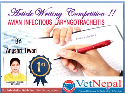 AVIAN INFECTIOUS LARYNGOTRACHEITIS