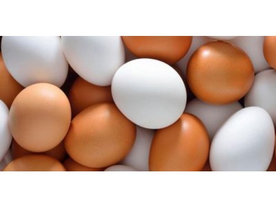 TIPS FOR OPTIMIZING EGG SIZE IN COMMERCIAL LAYERS