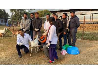 बाख्रामा कृत्रिम गर्भाधान तालीम पुस्तिका