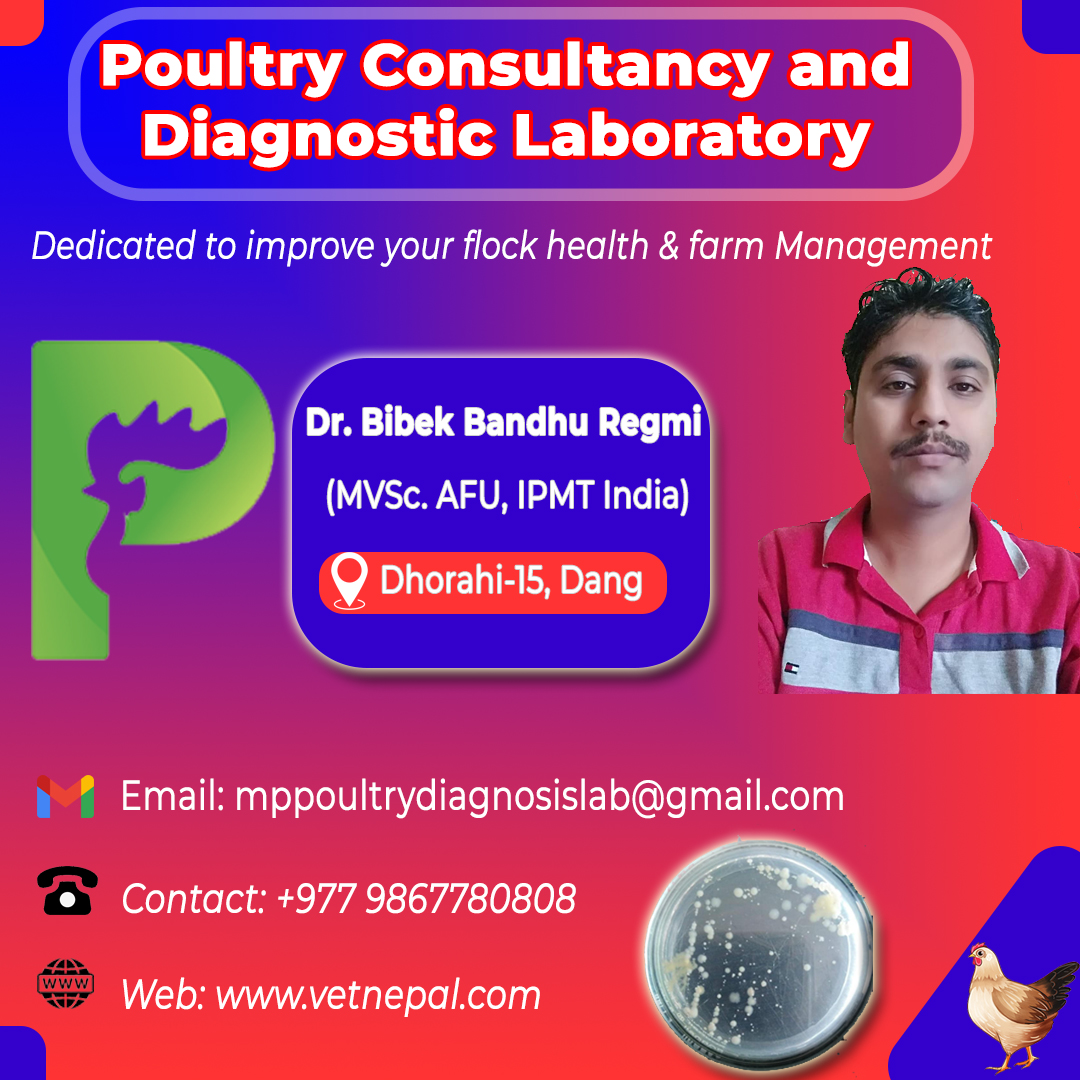 पोल्ट्री कन्सल्टेन्सी एण्ड डायग्नोष्टिक ल्याब (Poultry Consultancy & Diagnostic Lab)