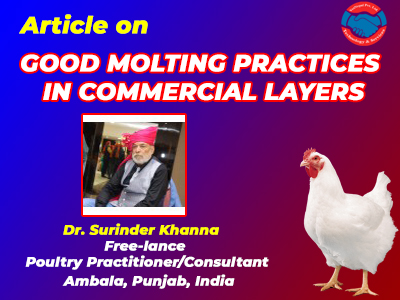 GOOD MOLTING PRACTICES IN COMMERCIAL LAYERS