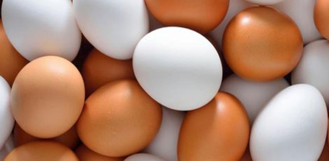 TIPS FOR OPTIMIZING EGG SIZE IN COMMERCIAL LAYERS